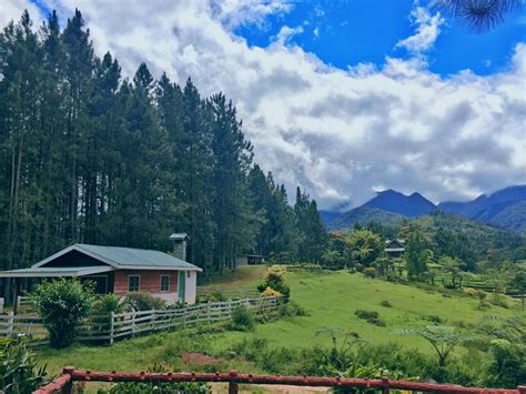 best resort in bukidnon|Dahilayan Gardens and Resort.